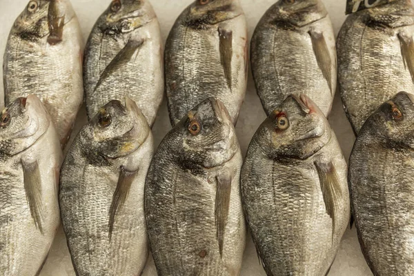 Frischer Roher Dorado Fisch Auf Eis Auf Der Theke Gesunde — Stockfoto