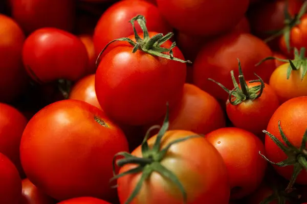 Banyak Tomat Matang Berwarna Merah Vitamin Dari Alam Dan Makanan — Stok Foto