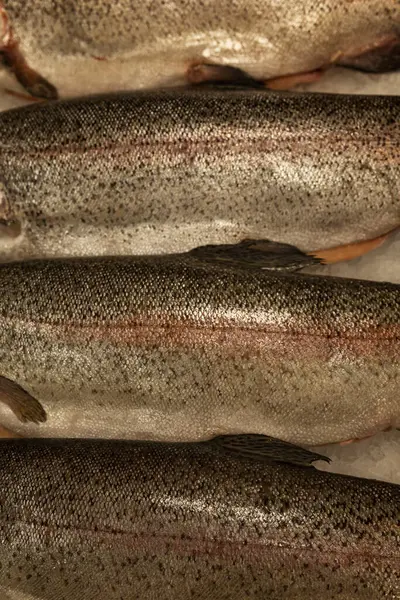 Buzda taze çiğ balık. Sağlıklı diyet yemekleri. Üst Manzara. Yakın plan. Dikey.