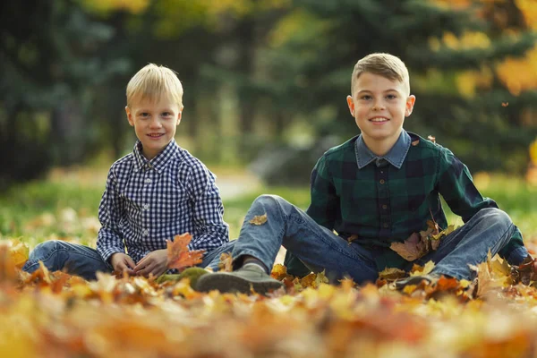 Друзі Хлопчиків Сидять Парку Землі Яскраво Помаранчевому Осінньому Листі Краса — стокове фото