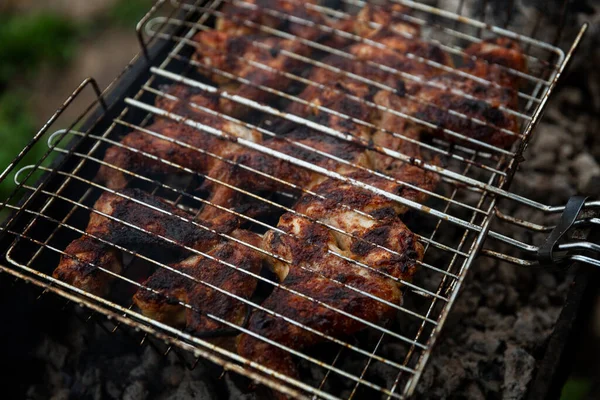 Tavuk Budu Izgarada Kızardı Açık Havada Barbekü Piknik Yakın Plan — Stok fotoğraf