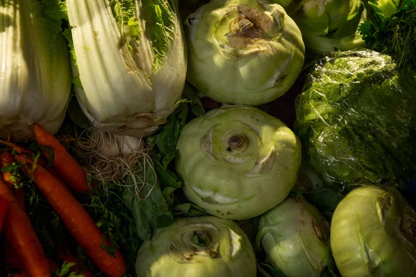 Diversi Tipi Cavolo Sul Bancone Del Mercato Cavolo Cinese Cavolo — Foto Stock