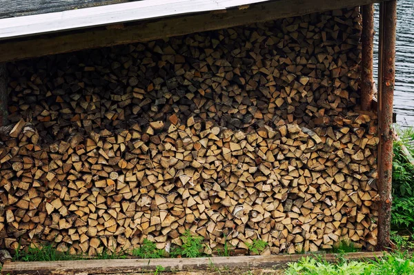 Eine Himbeere Mit Brennholz Beschaffung Von Brennstoff Für Den Winter — Stockfoto