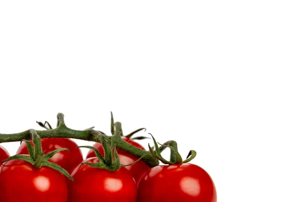 Red Cherry Tomatoes Branch Vitamins Healthy Nature Isolated White Background — Stock Photo, Image