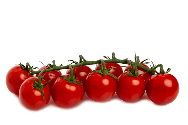 Tomat Merah Ceri Cabang Vitamin Dan Sehat Secara Alami Terisolasi — Stok Foto