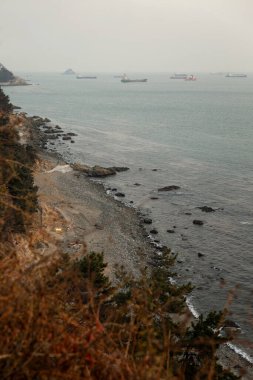 Sonbahar sahili. Muhteşem renkler, güzel manzaralar. Dikey.