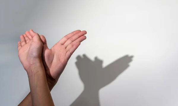 Donna Mani Creando Ombra Silhouette Animale Sfondo Bianco Parete Ombra — Foto Stock