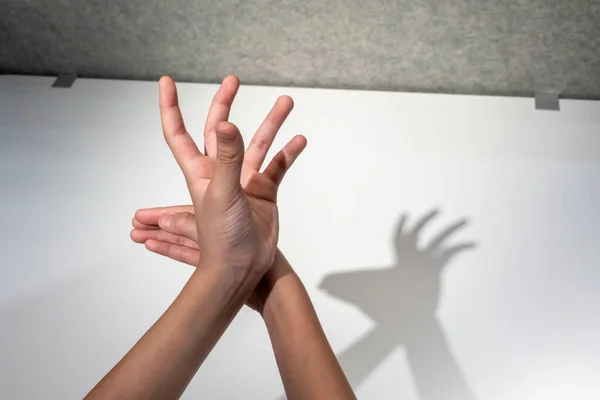 Kid hands creating silhouette shadow of deer on white wall background. Hand shadow of deer.