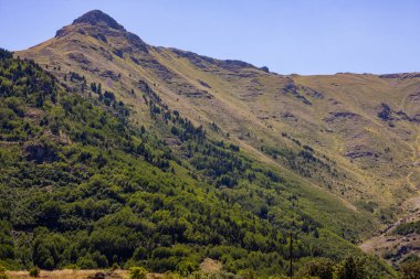 Ormanın manzarası dağın eteklerini kapladı. Kırsal arkaplan.
