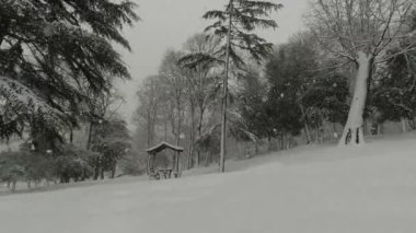Kar yağarken ormanda yürüyorum.