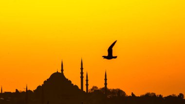 Süleyman Camii ve Martı 'nın silueti. Ramazan, iftar, kandil, kadir gecesi (laylat al-qadr), İslami yeni yıl, Kurban Bayramı arkaplan fotoğrafı.