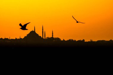 Süleyman Camii ve Martı 'nın silueti. Ramazan, iftar, kandil, kadir gecesi (laylat al-qadr), İslami yeni yıl, Kurban Bayramı arkaplan fotoğrafı.