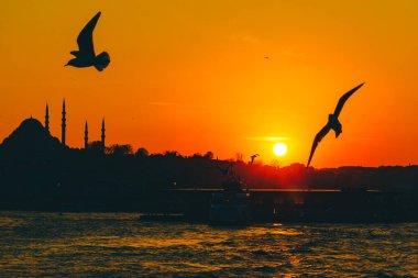 Süleyman Camii ve Martı 'nın silueti. Ramazan, iftar, kandil, kadir gecesi (laylat al-qadr), İslami yeni yıl, Kurban Bayramı arkaplan fotoğrafı.