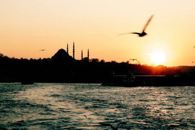 Süleyman Camii ve Martı 'nın silueti. Ramazan, iftar, kandil, kadir gecesi (laylat al-qadr), İslami yeni yıl, Kurban Bayramı arkaplan fotoğrafı.
