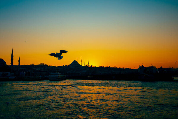 Silhouette Suleymaniye Mosque Seagull Ramadan Iftar Kandil Kadir Gecesi Laylat Royalty Free Stock Images