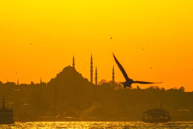 Süleyman Camii ve Martı 'nın silueti. Ramazan, kandil ve iftar arkaplan fotoğrafı. Ramazan, iftar, kandil, kadir gecesi (laylat al-qadr), İslami yeni yıl, Kurban Bayramı arkaplan fotoğrafı.