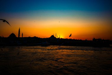 Süleyman Camii ve Martı 'nın silueti. Ramazan, iftar, kandil, kadir gecesi (laylat al-qadr), İslami yeni yıl, Kurban Bayramı arkaplan fotoğrafı.