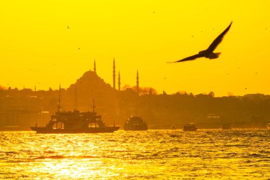 İstanbul 'da feribot, martı ve Süleyman Camii. İstanbul arka plan fotoğrafı. Ramazan, kandil ve iftar kavramı. İstanbul camileri. 
