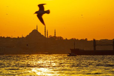 Süleyman Camii ve Martı 'nın silueti. Ramazan, iftar, kandil, kadir gecesi (laylat al-qadr), İslami yeni yıl, Kurban Bayramı arkaplan fotoğrafı.