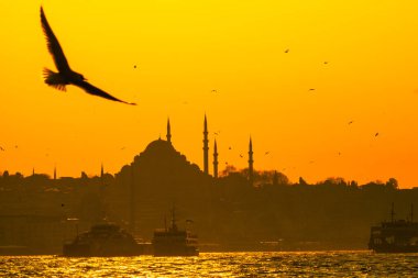 İstanbul 'da feribot, martı ve Süleyman Camii. İstanbul arka plan fotoğrafı. Ramazan, iftar, kandil, kadir gecesi (laylat al-qadr), İslami yeni yıl, Kurban Bayramı arkaplan fotoğrafı.