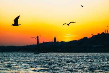 Gün batımında Galata Kulesi ve Martı. İstanbul arka plan fotoğrafı. İstanbul 'un güzelleri. Türkiye 'ye git. Galata Kulesi arka planı.