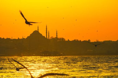 Süleyman Camii ve Martı 'nın silueti. Ramazan, iftar, kandil, kadir gecesi (laylat al-qadr), İslami yeni yıl, Kurban Bayramı arkaplan fotoğrafı.