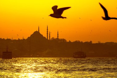 Süleyman Camii ve Martı 'nın silueti. Ramazan, kandil ve iftar arkaplan fotoğrafı. İstanbul mazoşistleri. İslami duvar kağıdı.