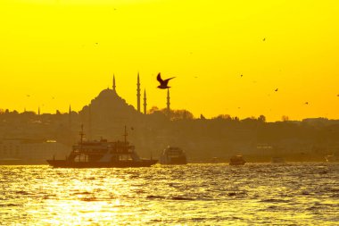 İstanbul 'da feribot, martı ve Süleyman Camii