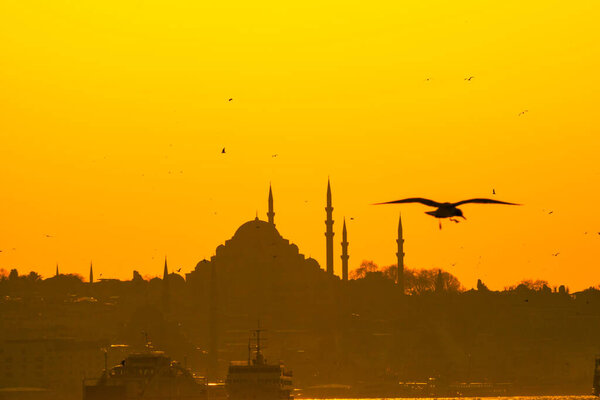 Silhouette Suleymaniye Mosque Seagull Ramadan Iftar Kandil Kadir Gecesi Laylat Stock Picture