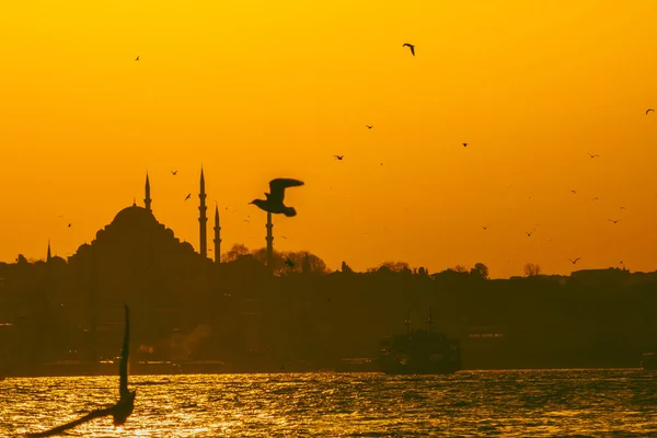 Silhuett Suleymaniye Moskén Och Fiskmåsen Ramadan Kandil Och Iftar Bakgrund — Stockfoto