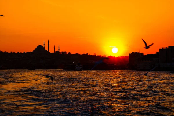 Gün batımında Süleyman Camii ve Martılar 'ın silueti. Ramazan, kandil ve iftar arkaplan fotoğrafı. Ramazan Kareem. İstanbul arka plan fotoğrafı.