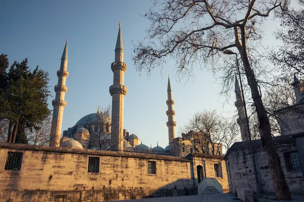 Τζαμί Suleymaniye Στην Κωνσταντινούπολη Τζαμιά Της Κωνσταντινούπολης Ταξίδι Στην Τουρκία — Φωτογραφία Αρχείου