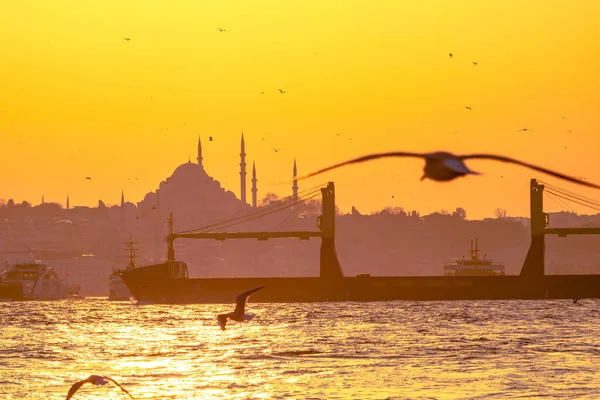 Stadsbilden Istanbul Vid Solnedgången Med Mås Istanbul Bakgrund Foto Ramadan — Stockfoto