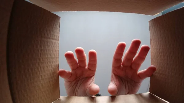 Stretching Hands Cardboard Box Grab Something Commerce Shipment Theme — Stock Photo, Image