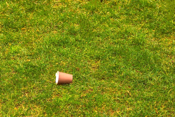 Ein Pappbecher Auf Dem Rasenplatz Umweltverschmutzung Hintergrundbild Umweltverschmutzung Schmutziger Wald — Stockfoto