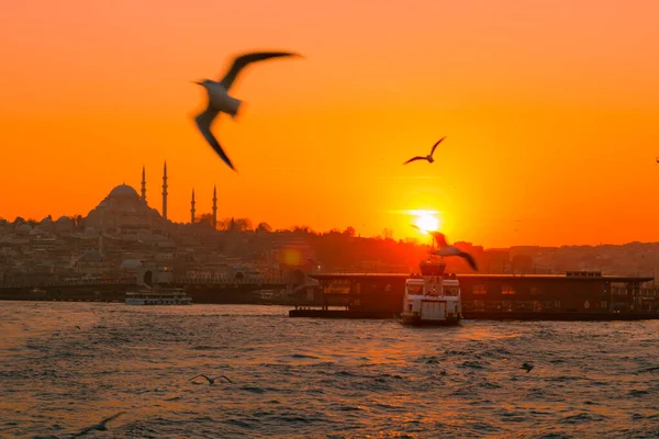 Gaviotas y silueta de Estambul al atardecer — Foto de Stock