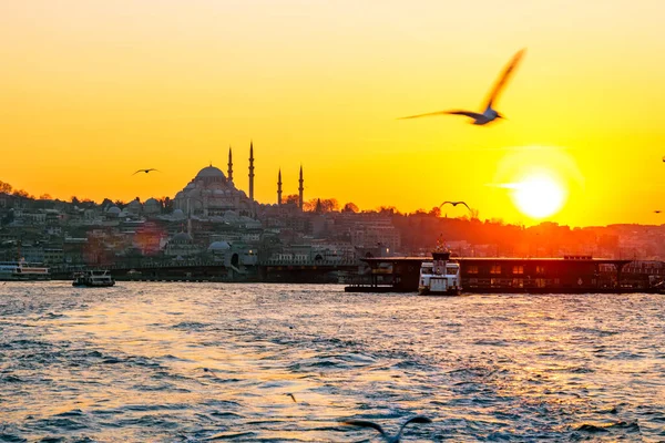 Gaviotas y silueta de Estambul al atardecer — Foto de Stock