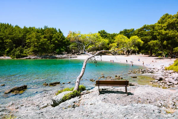 Antalya Türkiye - 6.9.2021: Antalya 'daki Phaselis Sahili. Türkiye 'nin ünlü plajları. Türkiye 'ye Seyahat. 