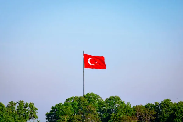 Турецкий Флаг Деревья Внизу Турецкая Нация Национальные Праздники Турции Апреля — стоковое фото