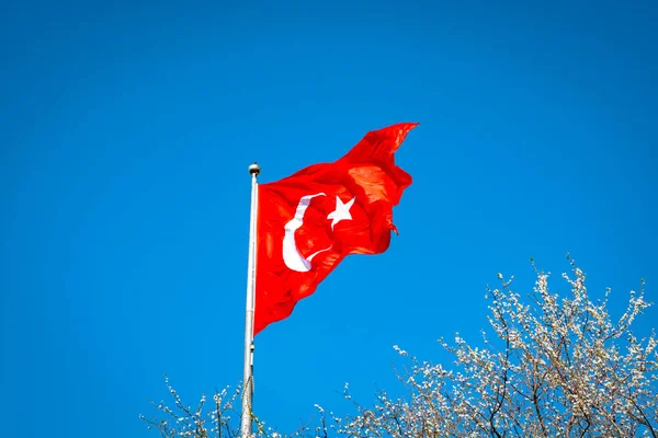 Türk Bayrağı Altında Ağaçlar Türk Milleti Türk Milli Günleri Nisan — Stok fotoğraf