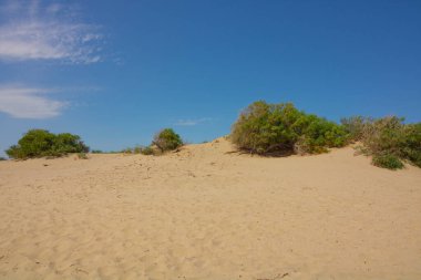 Antalya 'daki Patara Sahili' nin kum tepeleri. Ünlü hindi kumsalı. Kumda ayak izleri var.. 