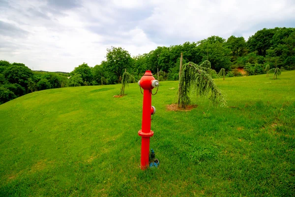 Fire Hydrant in the forest. Protection of the forest by fires. Red fire hydrant in the edge of the forest. Wildfire or forest fire safety concept.