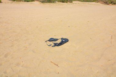 Plaja atılmış siyah bir çöp torbası. Çevre kirliliği. Kirli plajlar. Ekolojik kirlilik. Plastik kirliliği. İnsanların neden olduğu doğal afet..