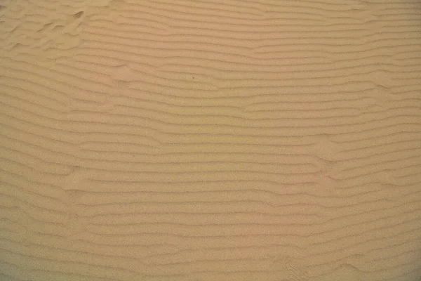 波状砂丘の概要背景。砂の上の模様. — ストック写真