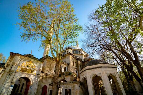 Eyup Sultan Mosque and Trees. Mosques of Istanbul. Stock Image