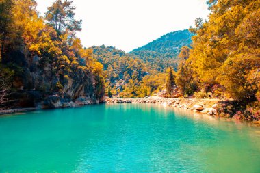 Ormandaki bir kanyonda zümrüt renkli bir göl. Antalya 'daki Goynuk Kanyonu. Bir kanyondaki orman ve gölün manzarası.. 