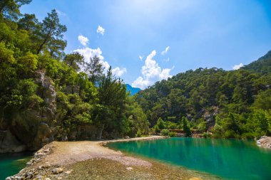 Ormandaki bir kanyonda zümrüt renkli bir göl. Antalya 'daki Goynuk Kanyonu. Bir kanyondaki orman ve gölün manzarası.. 
