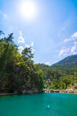 Ormandaki bir kanyonda zümrüt renkli bir göl. Antalya 'daki Goynuk Kanyonu. Bir kanyondaki orman ve gölün manzarası.. 