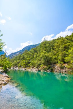 Ormandaki bir kanyonda zümrüt renkli bir göl. Antalya 'daki Goynuk Kanyonu. Bir kanyondaki orman ve gölün manzarası.. 