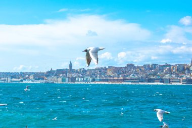 İstanbul arka plan fotoğrafı. Arka planda galata kulesi olan martılar. İstanbul 'un bulutlu gökyüzü manzarası. Boğaz Boğazı.